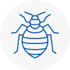 Bed Bug Extermination In Lincolnshire